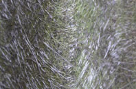 Langton By Wragby fibreglass roof work